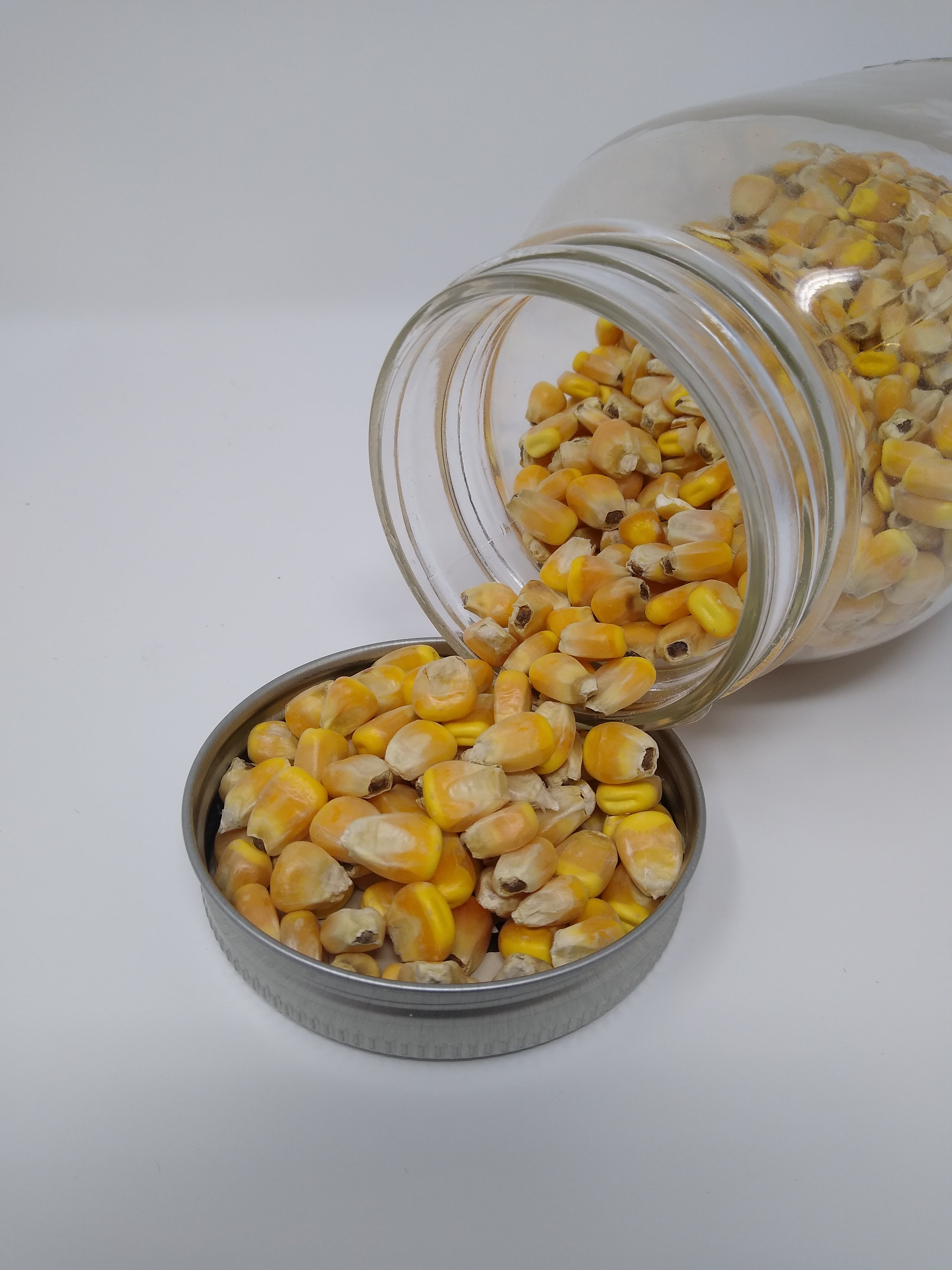 Organic Yellow Corn – Fairhaven Mill